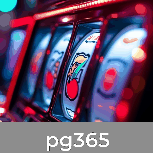 Experiência Completa e Serviços Profissionais do pg365